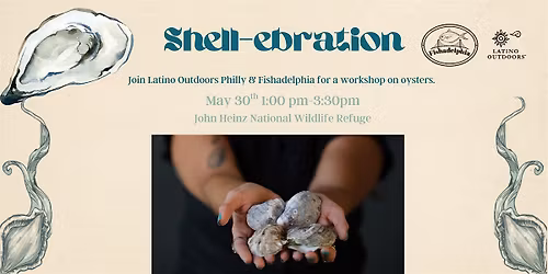 LO Philly | Shell-ebration