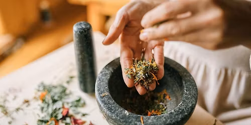 Herbal Allies | Reconnecting with Plant Wisdom