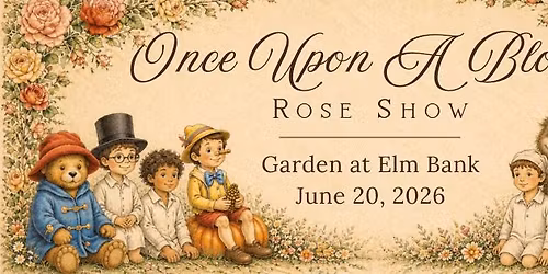 Once Upon A Bloom | Rose Show