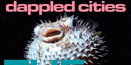 Dappled Cities - The Aquarium Tour - Wollongong