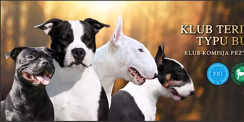 II Klubowa Wystawa Terier\u00f3w Typu Bull