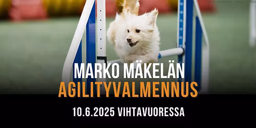 Marko M\u00e4kel\u00e4n agilityvalmennus Vihtavuoressa