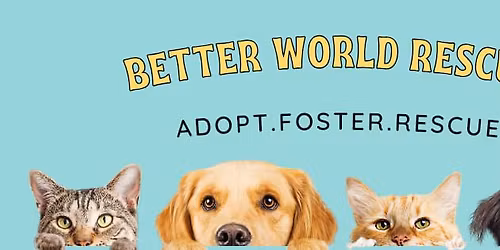 Adoption Fair