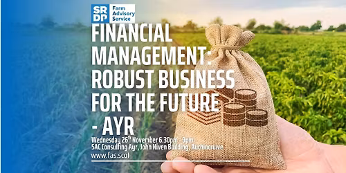 Financial Management: Robust Business for the Future \u2013 Ayr