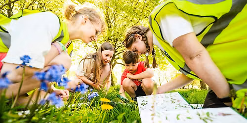 Nature Counts Bioblitz - Devonport Park