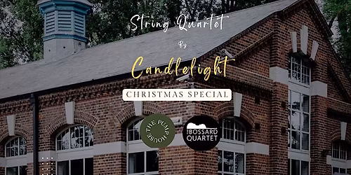 String Quartet by Candlelight in Winchester (Christmas Special!)
