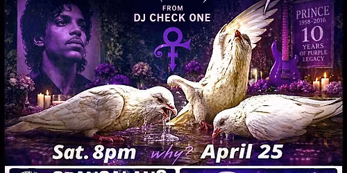 When Doves Cry - Prince Tribute - DJ Check 1