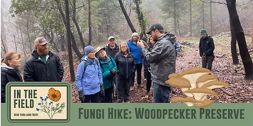 In The Field: Fungi Hike
