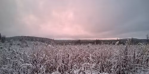 Loppiaisrogaining 2026