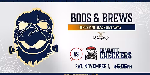 Springfield Thunderbirds v. Charlotte Checkers