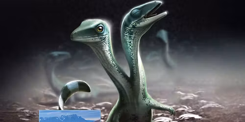 The Secret Lives of Dinosaurs and the Adventures of a Paleontologist