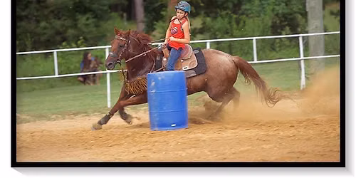 WSC-Buckle Series Show #4