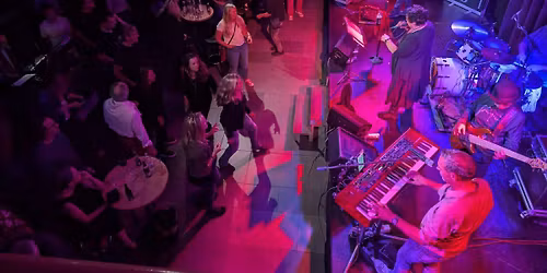 The Roosters im K9 Konstanz