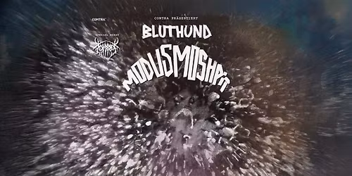 Bluthund \u2022 Viper Room \u2022 Wien