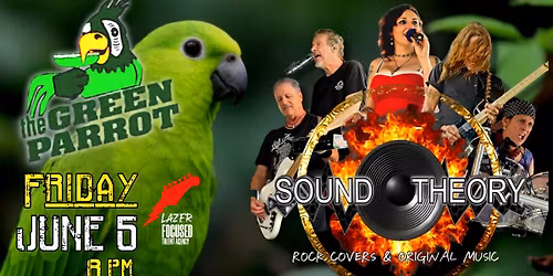 SOUND THEORY is Back for the Attack at GREEN PARROT!