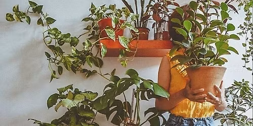 Indoor Plant Sale