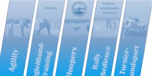 Rally Obedience Welcome Spring