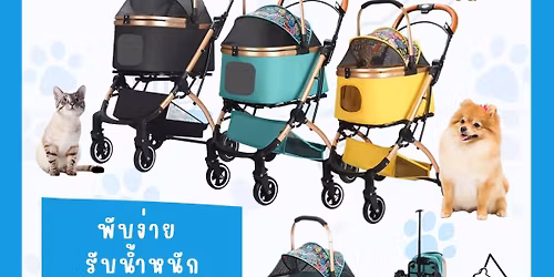 Paw World at Central Westville 07 - 12 Aug 2025