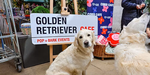 GOLDEN RETRIEVER CAFE - READING