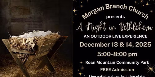 A Night in Bethlehem 