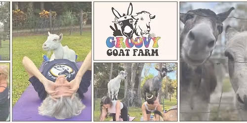 Groovy Goat Yoga