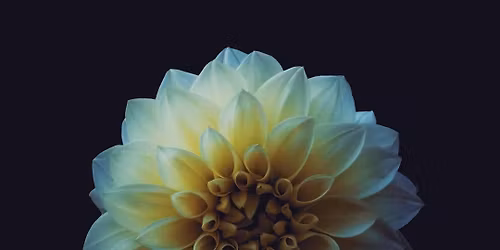 Balance and Bloom: A Sunday Morning Meditation & Ritual Oil Crafting