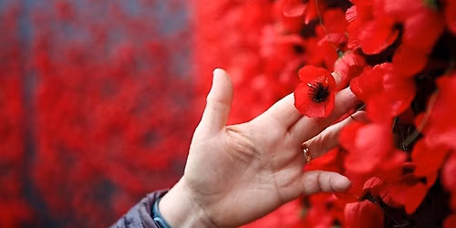 LBBD's Poppy Project Workshop