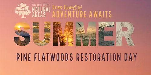 Adventure Awaits - Pine Flatwoods Restoration Day @ Winding Waters