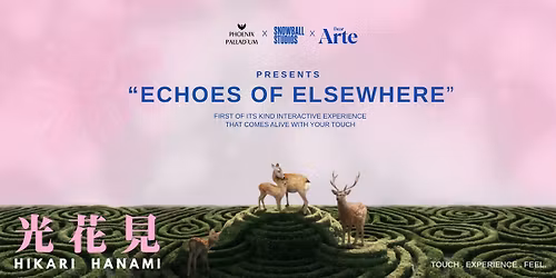 Echoes Of Elsewhere : HIKARI HANAMI