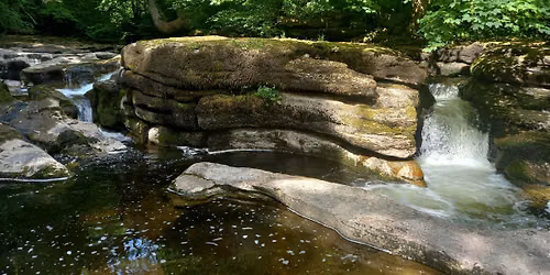 Wellbeing Walk: Poems and Power