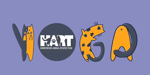 Yoga with kittens - 1:30 p.m.