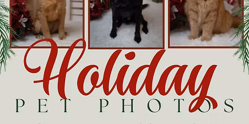 Holiday Pet Photos!