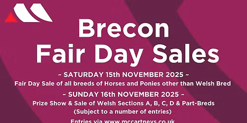 Brecon Fair Day Sales (Two Days)
