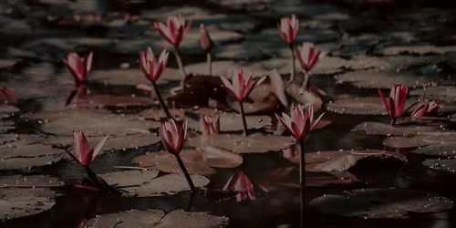 Sacred Wild Feminine \u2013 \u0394\u03b9\u03ae\u03bc\u03b5\u03c1\u03bf\u03c2 \u0398\u03b5\u03c1\u03b1\u03c0\u03b5\u03c5\u03c4\u03b9\u03ba\u03cc\u03c2 \u039a\u03cd\u03ba\u03bb\u03bf\u03c2