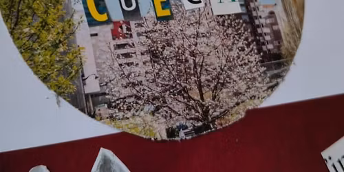 Cuecasso presidencial ! Segunda vuelta y final.