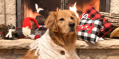 Experience The Holidays