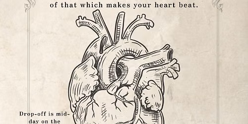 The HeART of Anatomy: An Opening