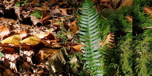 Harvest in the Hut \u2013 Art & Food Exhibition