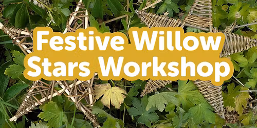 Festive Willow Stars workshop