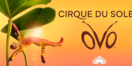 Cirque du Soleil: OVO Tickets