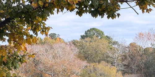 Spring Open House and Movie Night at Rocking Horse Ranch