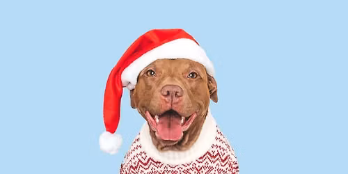 After X-mass Eve Benefit Vol. XIV