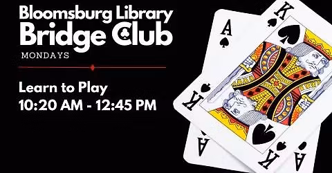 Learn to Play Bridge