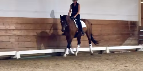 Fundamentals of Dressage Clinic with Shelley Mills June 2026