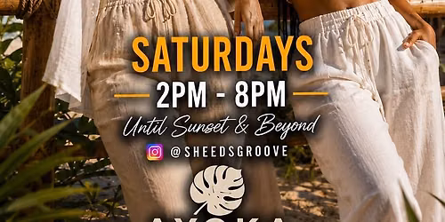 SHEEDSGROOVE | DAY PARTY