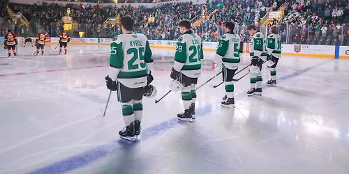 Texas Stars vs. Chicago Wolves