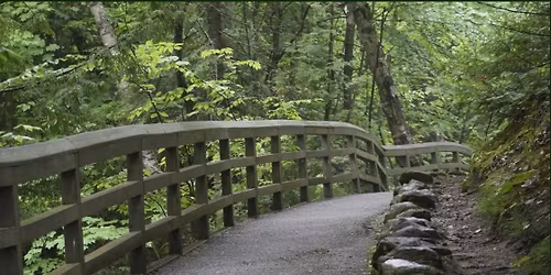 Nature Walk