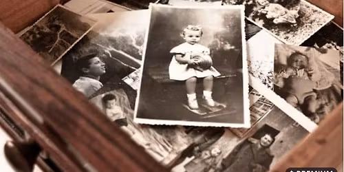 Memory Health: Even Elephants Forget Sometimes!