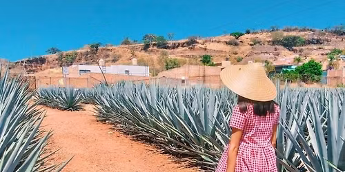 Viaje a Tequila - Saliendo de Puerto Vallarta