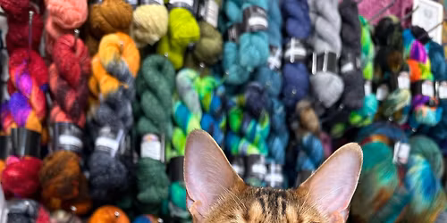 Trunk Show at The Blue Ewe